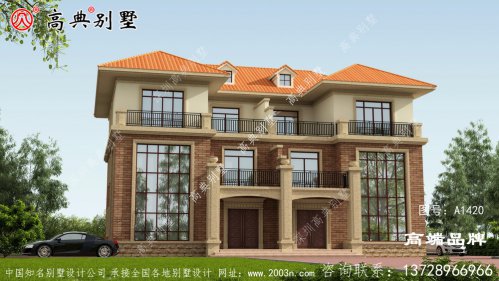 新农村房屋设计图纸整栋别墅精致洋气